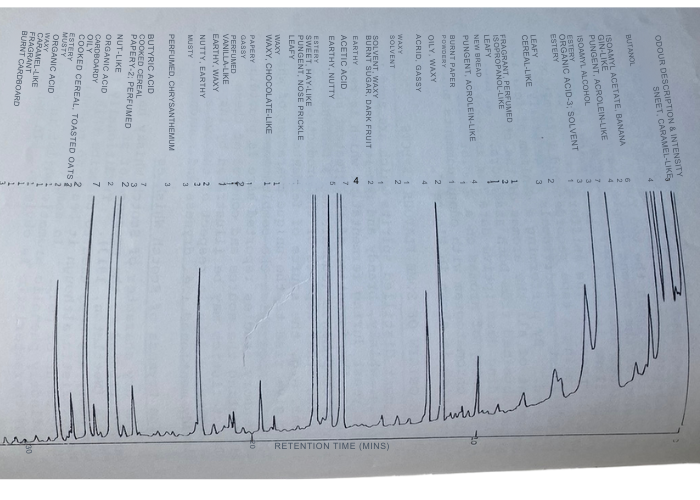 GS-MS Print Out with Odour Descriptors